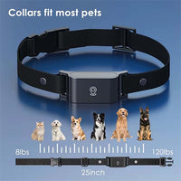 Pet tag holder suitable for standard collar straps