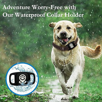 Pet tag holder suitable for standard dog and cat collars