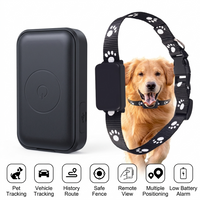 Adjustable pet strap holder suitable for collars