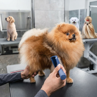 Angled pins dog brush for undercoat management and comfort