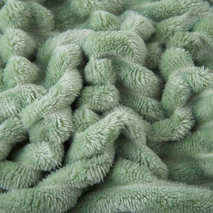Microfiber Plush Throw Blanket