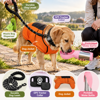 Portable stainless steel pet water bottle for dogs during outdoor activities