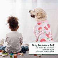 Pink XL Surgical Onesie for Dogs, Ideal for Post-Surgery Recovery