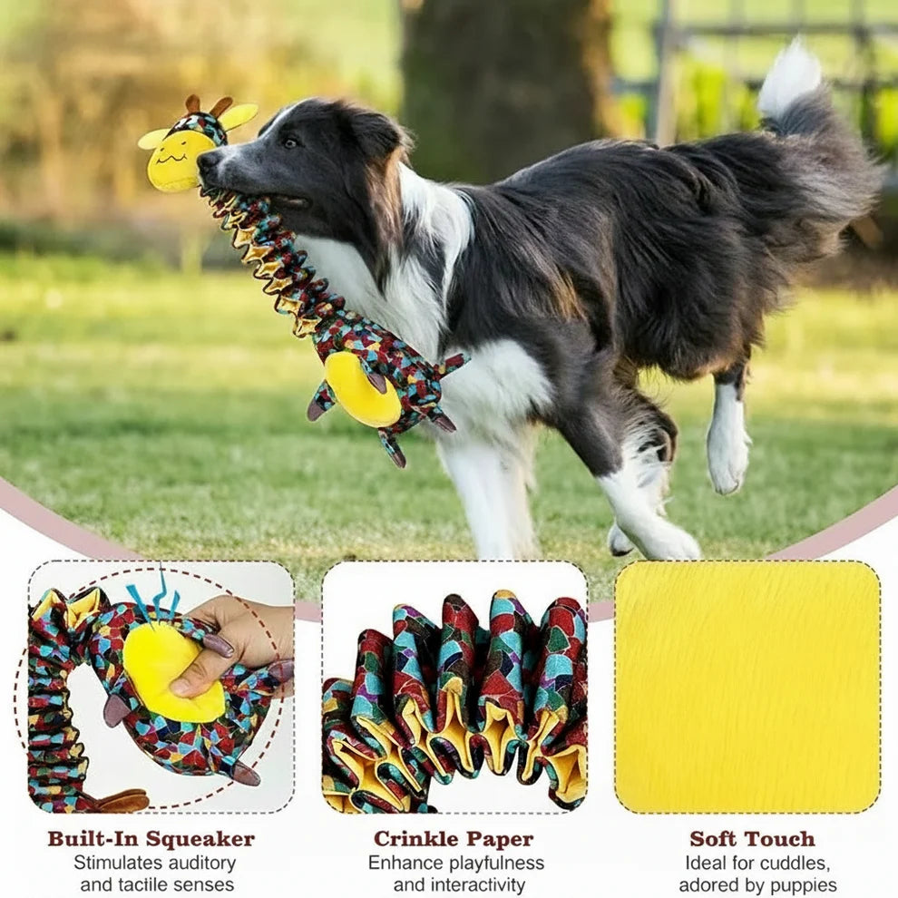 Premium dog care bundle with grooming tool feeder and toy for pets