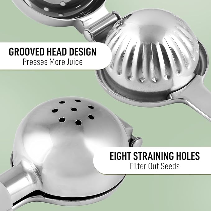 Fruit Juicer