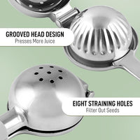 Fruit Juicer