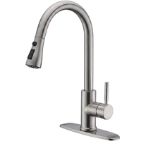 Sprayer Faucet