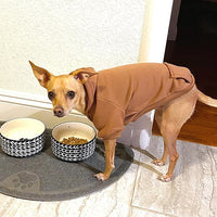 Cute puppy hoodie costume, warm and comfy for small dogs, including cats.