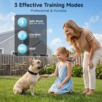 Rain Resistant Dog Training Collar For Everyday Outdoor Use