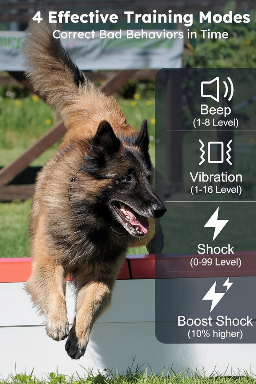 Rechargeable Dog Collar Set With Remote Control And Adjustable Design