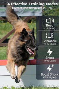 Rechargeable Dog Collar Set With Remote Control And Adjustable Design