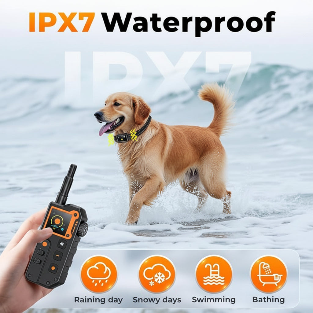 Rechargeable Pet Training Collar Designed For Supervised Use