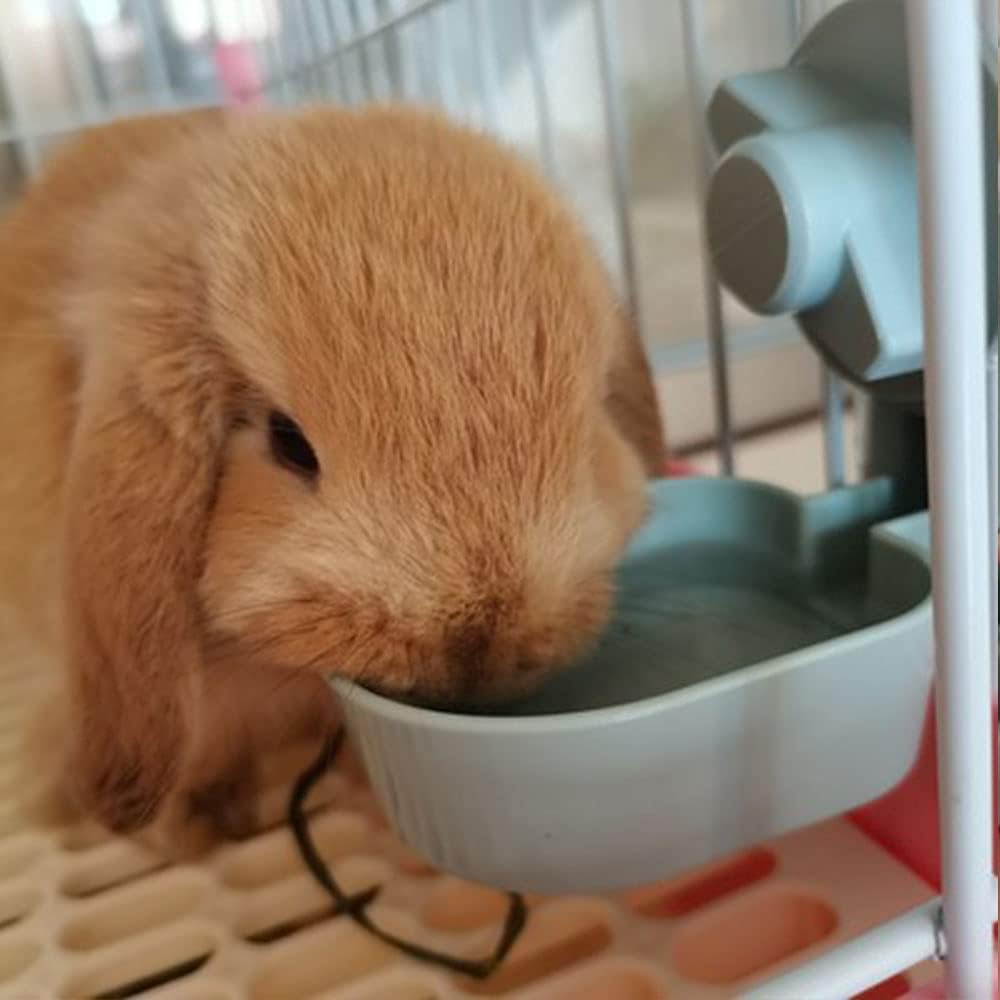 Refillable Water Bowl for Rabbits and Guinea Pigs – Small Pet Hydration Accessory