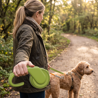 Reflective dog walking leash with adjustable lead