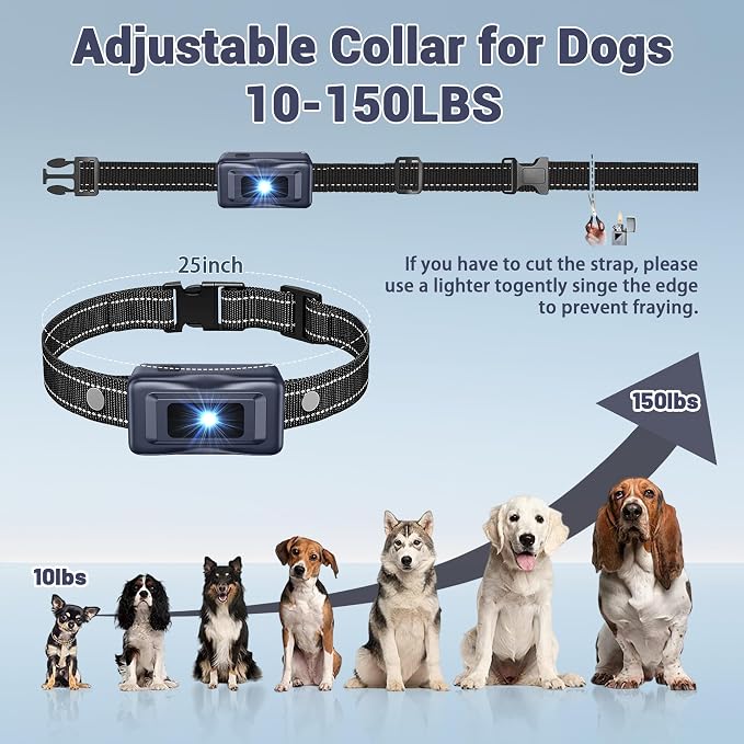 Adjustable Dog Training Device for Supervised Training