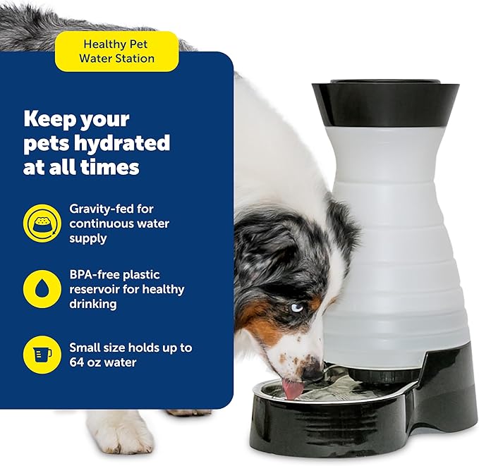 Removable stainless steel bowl for easy cleaning and improved pet hydration