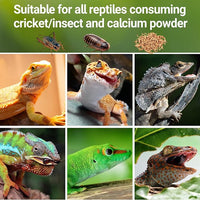 Reptile Calcium Powder Mixer For Feeder Insect Preparation