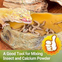 Reptile Feeder Accessory For Bearded Dragons Geckos And Lizards