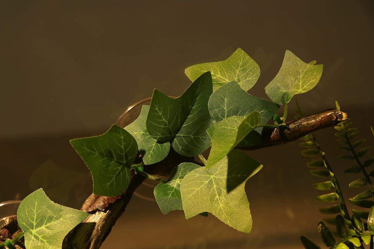 Reptile Habitat Decoration With Corner Branch Design