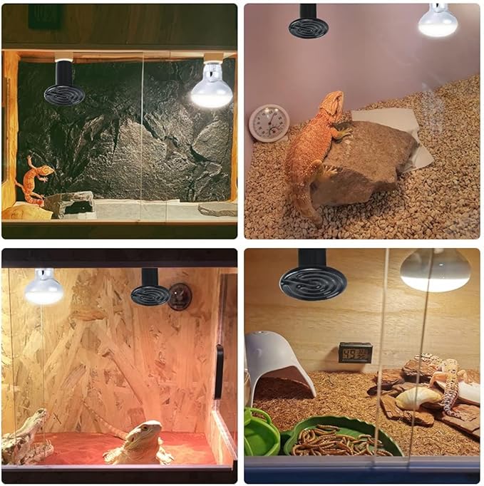 Reptile Habitat Mister With Adjustable