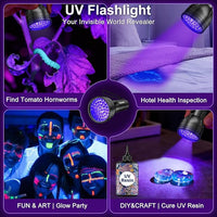 UV flashlight used as scorpion finder and outdoor detection tool