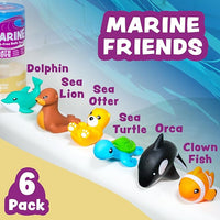 Sealed No Hole Bath Toys That Prevent Moisture Build Up