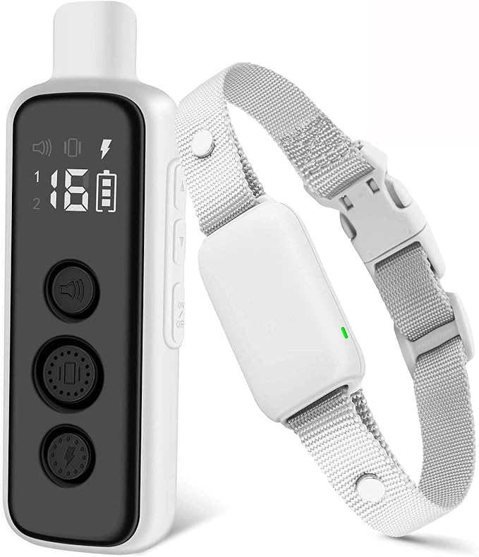 Secure fit pet collar product view with practical outdoor style