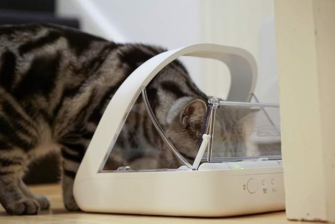 Selective Pet Feeder Prevents Food Stealing In Multi Pet Homes