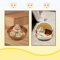 Small Animal Transport Case For Hamsters Ferrets Chinchillas And Hedgehogs