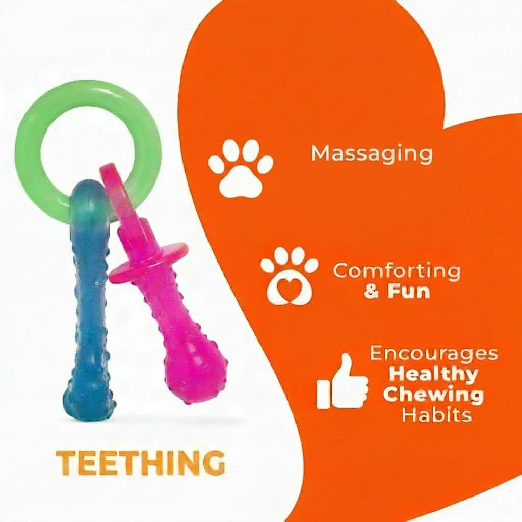 Small Dog Activity Toy With Pacifier Shape And Textured Surface