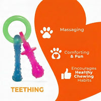 Small Dog Activity Toy With Pacifier Shape And Textured Surface