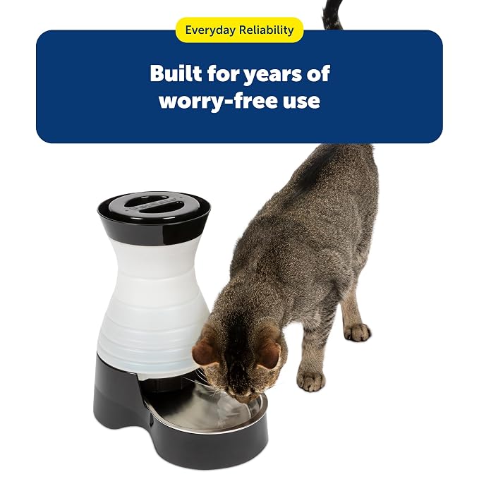 Small Capacity Pet Water Station For Cats And Dogs