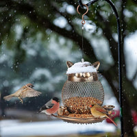 Small Bird Feeder for Outdoor Use – Finch and Sparrow Garden Feeder
