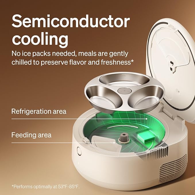 Automatic Pet Feeder With Stainless Steel Food Bowl