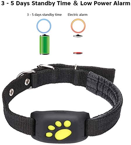Smart Pet Location Device With App Based View For Dogs And Cats