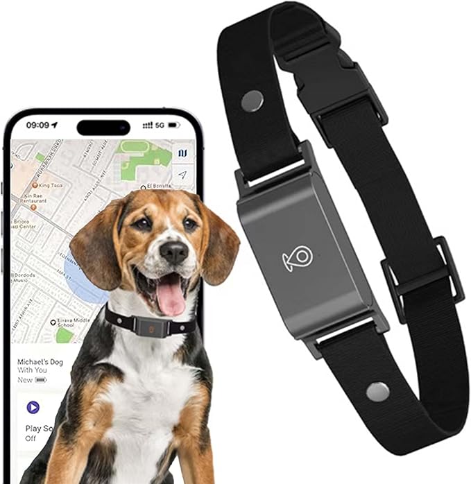 Smart pet collar holder with adjustable strap for dogs and cats