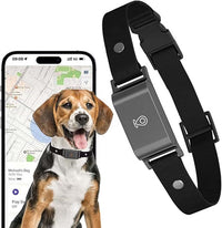 Smart pet collar holder with adjustable strap for dogs and cats