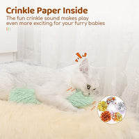 Soft Crinkle Pillow Cat Toy for Indoor Play