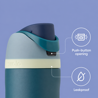 Stainless Steel Travel Bottle with Straw Lid