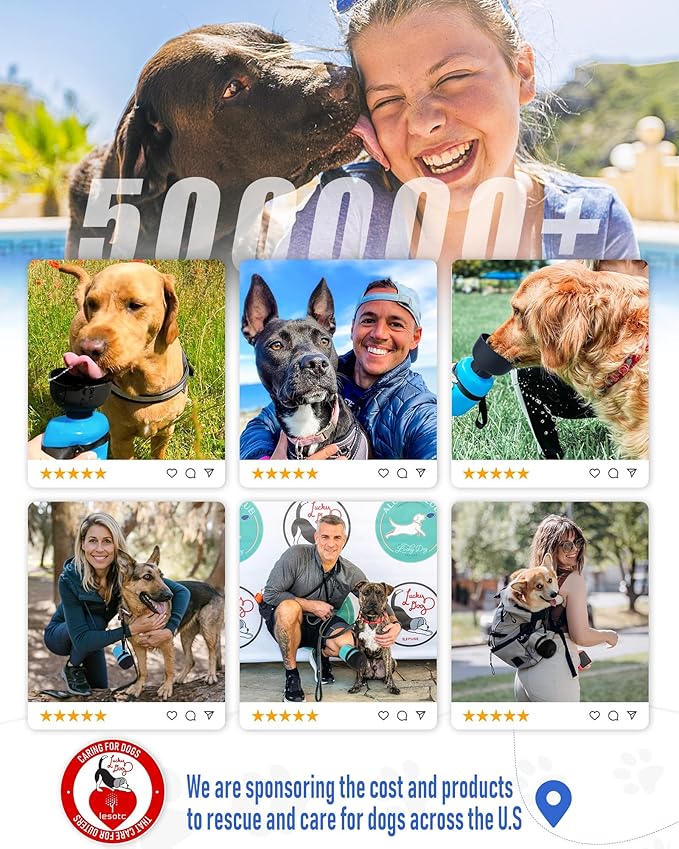 Squeeze-to-drink portable dog water bottle with bowl