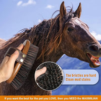 Stable Horse Brush For Regular Grooming And Coat Care