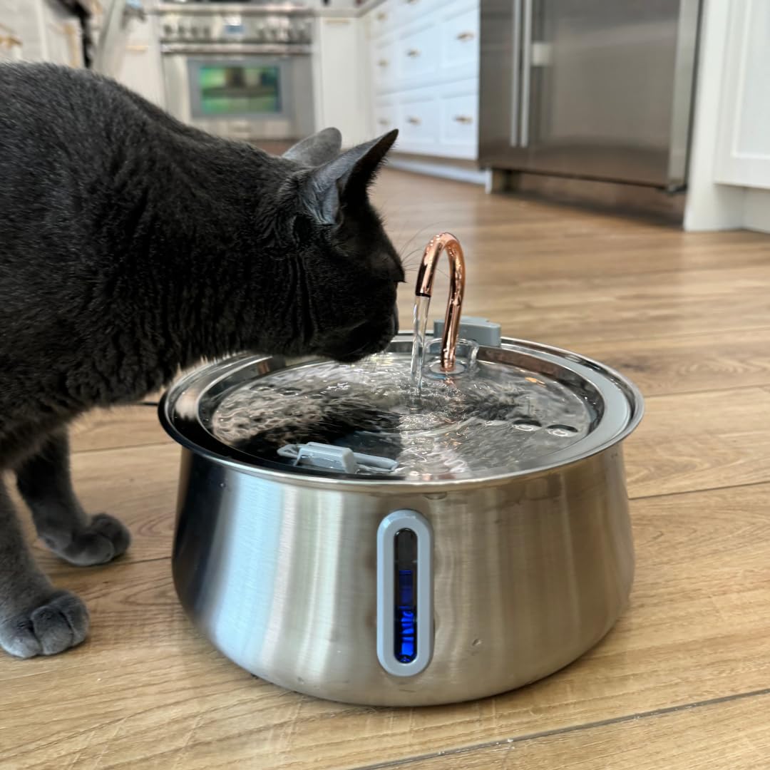 Stainless Steel Pet Water Drinker For Daily Indoor Use