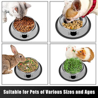 Durable stainless steel pet bowl for cats food and water