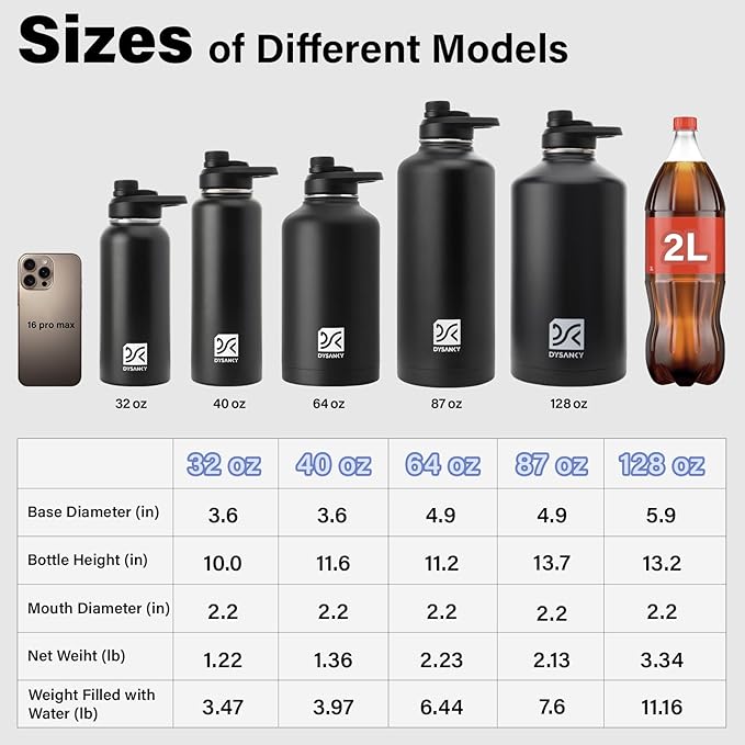 Stainless Steel Bottle