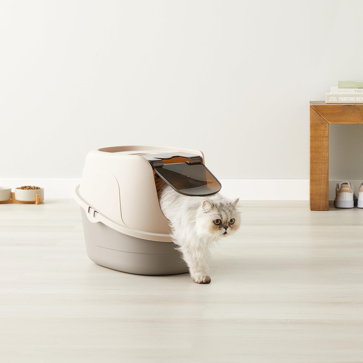 Standard Covered Cat Litter Box For Everyday Home Use