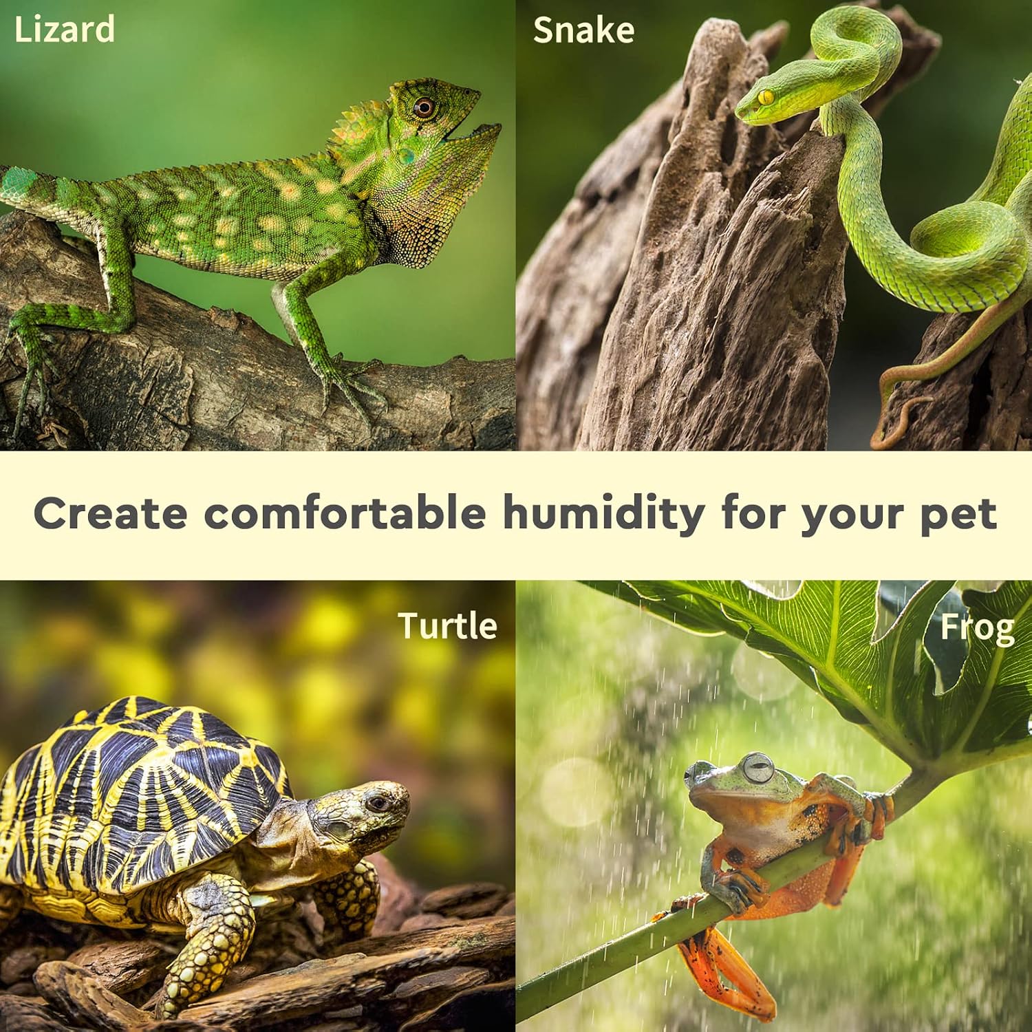 Terrarium Humidity System For Reptile Habitat Care
