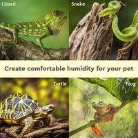 Terrarium Humidity System For Reptile Habitat Care