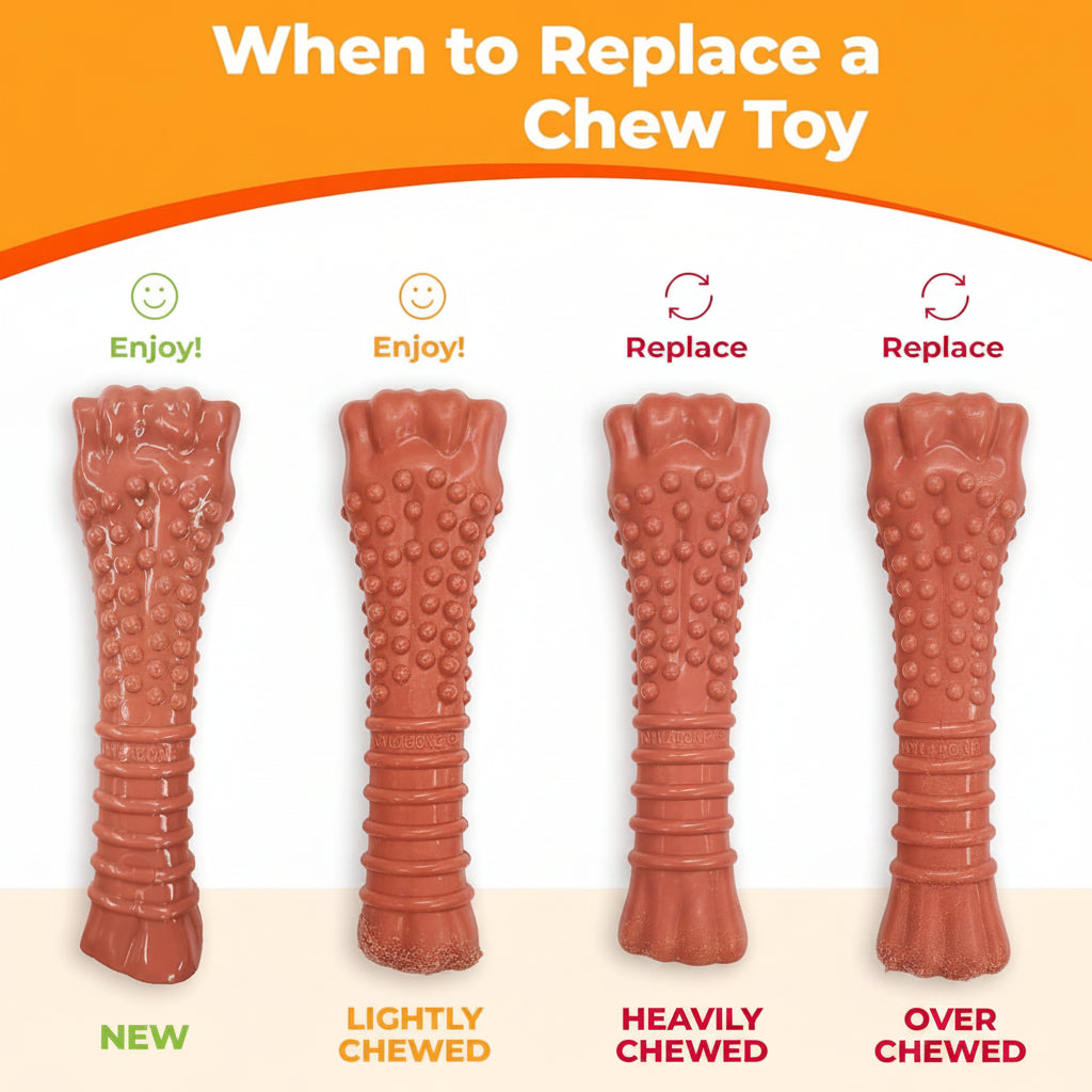 Textured Dog Play Ring With Raised Surface For Daily Chewing And Play