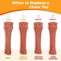 Textured Dog Play Ring With Raised Surface For Daily Chewing And Play