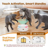 3 In 1 Interactive Cat Toy With Butterfly Feather And Ball Track Design